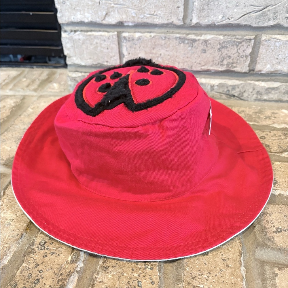 Reversible Charming Red Ladybug Kids Hat